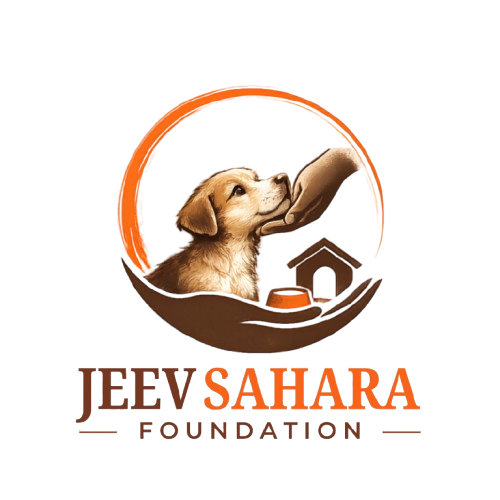 JeevSahara Foundation