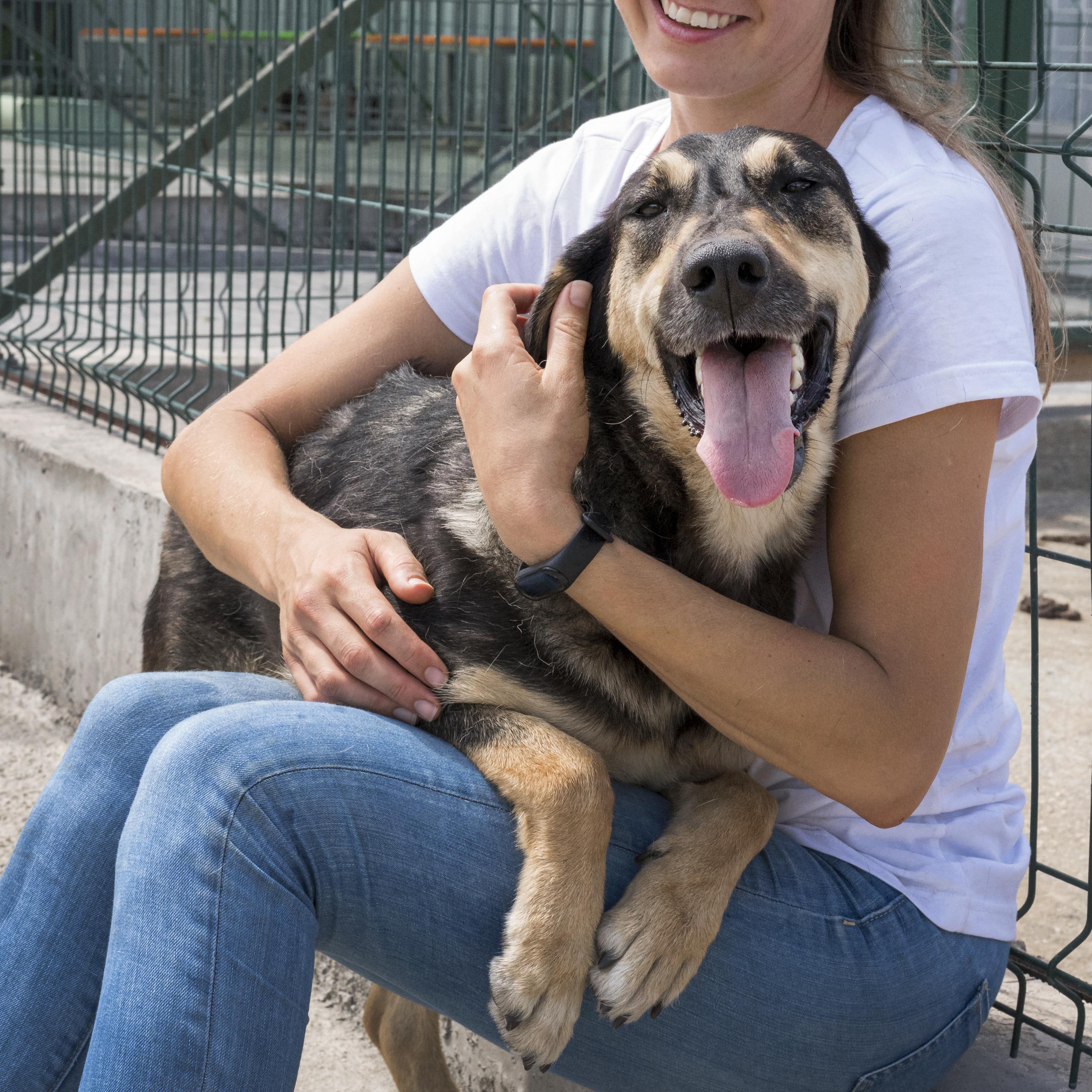 JeevSahara Foundation main dog shelter in New Delhi