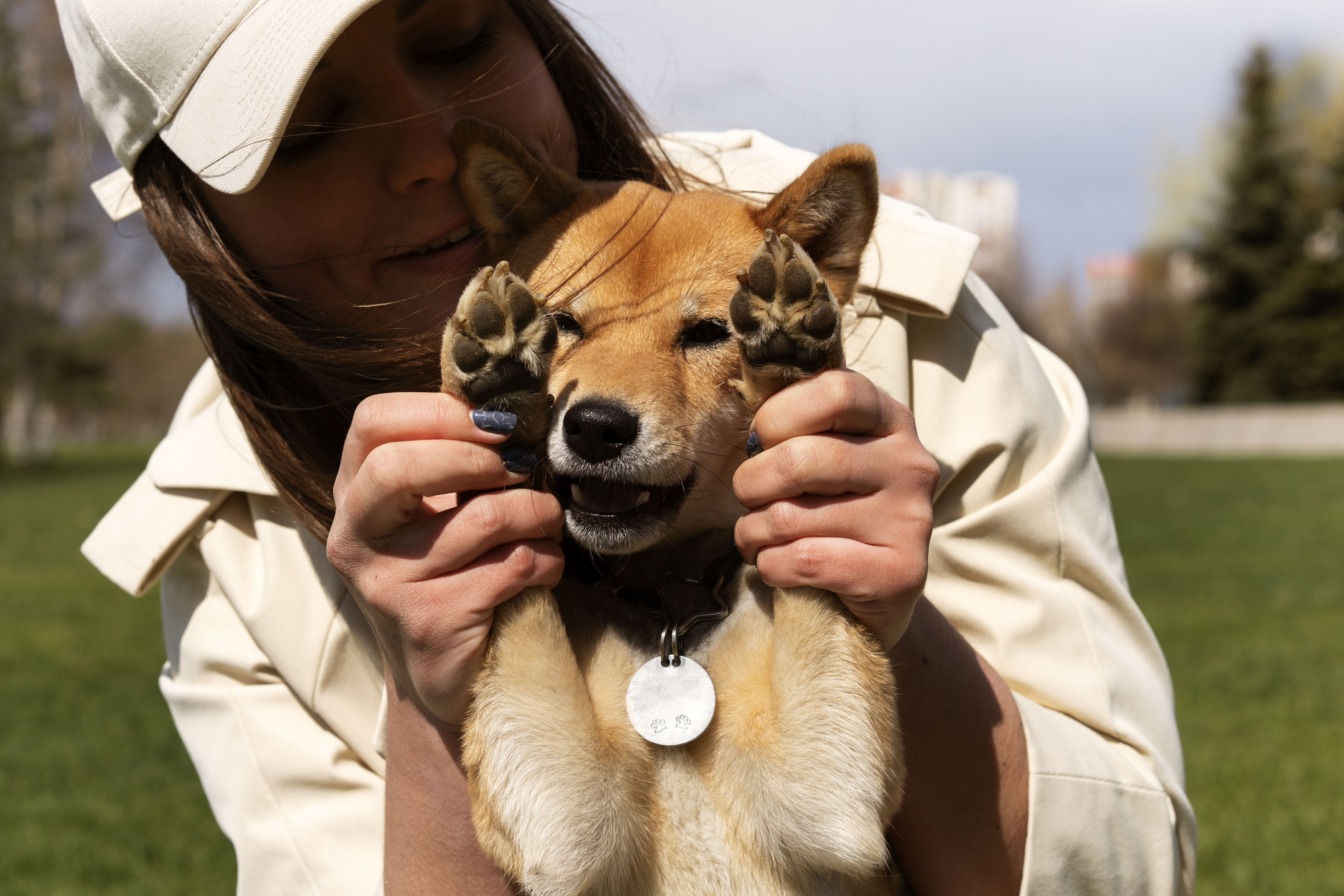 JeevSahara Foundation main dog shelter in New Delhi