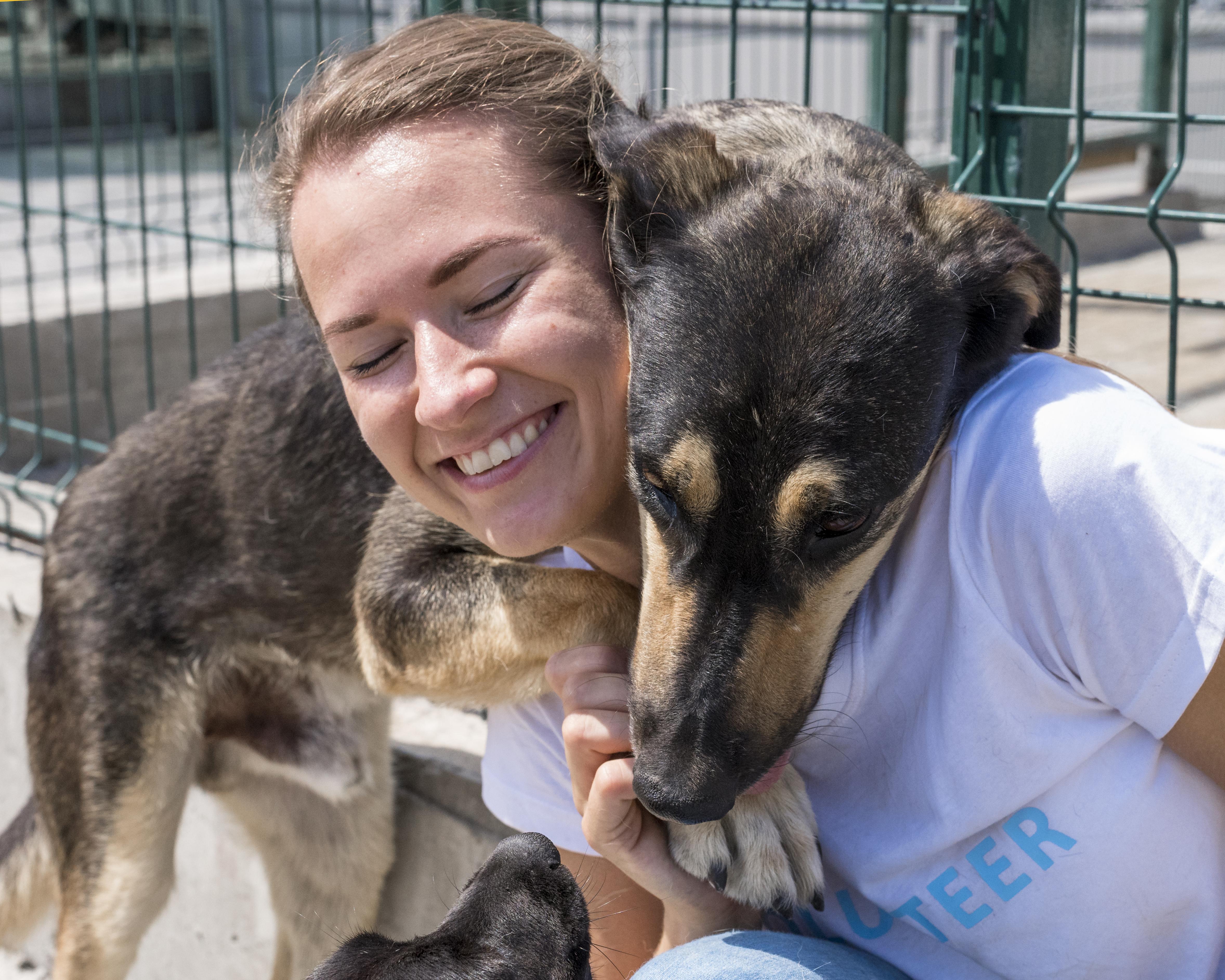 JeevSahara Foundation main dog shelter in New Delhi