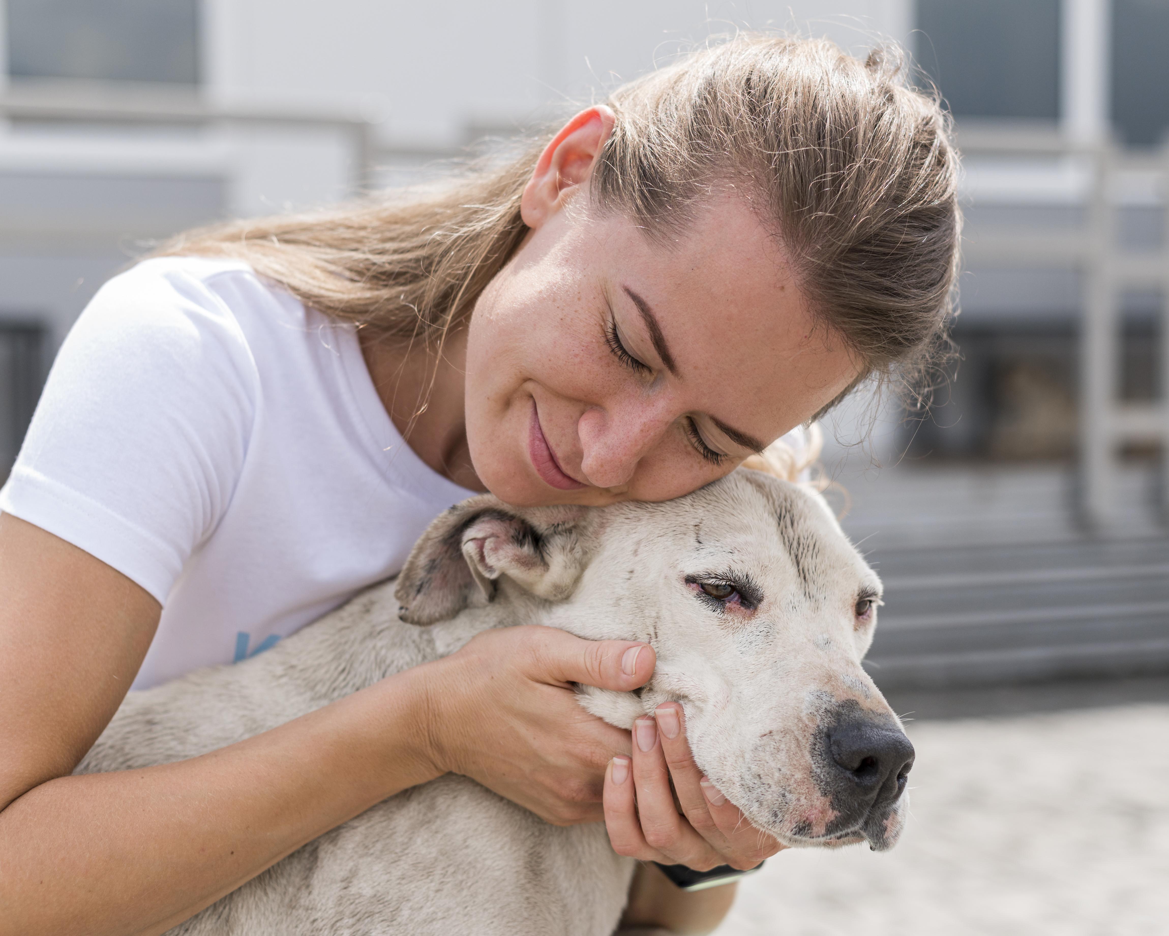 JeevSahara Foundation main dog shelter in New Delhi
